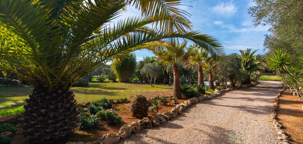 Finca Casa Groc