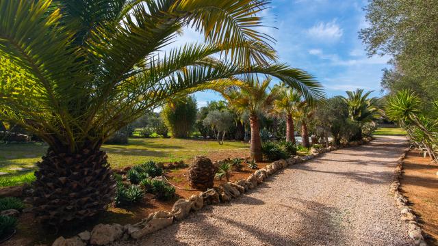 Finca Casa Groc