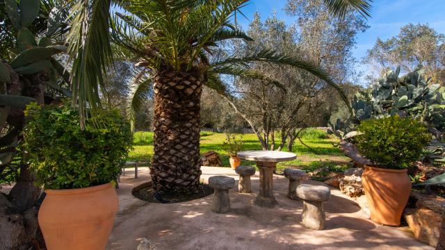 Finca Casa Groc