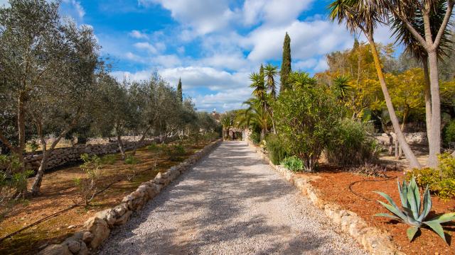 Finca Casa Groc