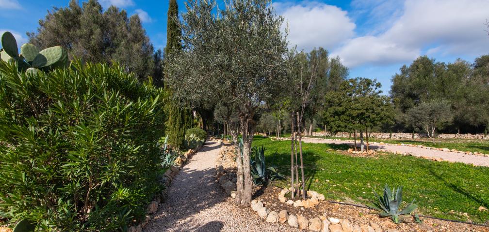 Finca Casa Cascada