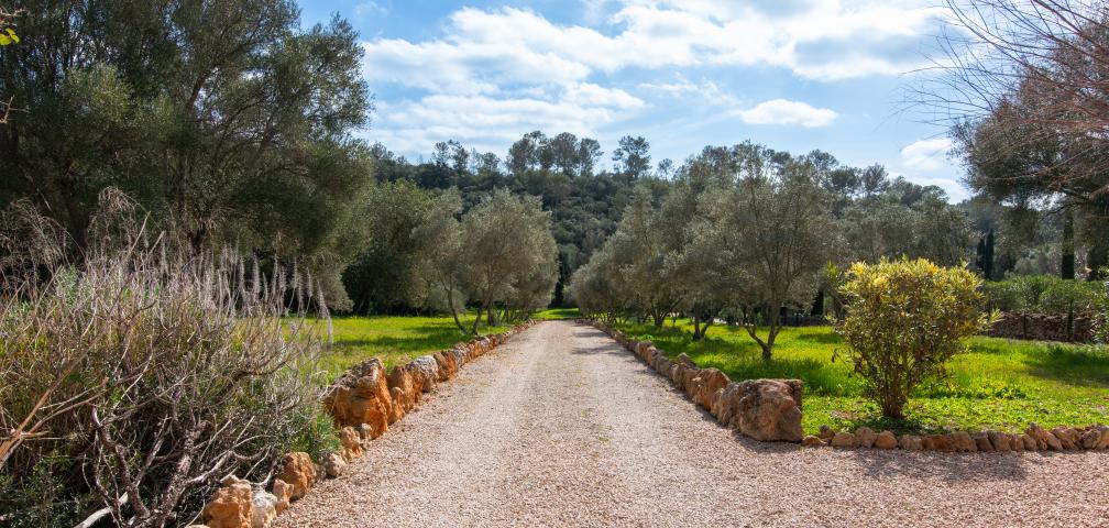Finca Casa Cascada