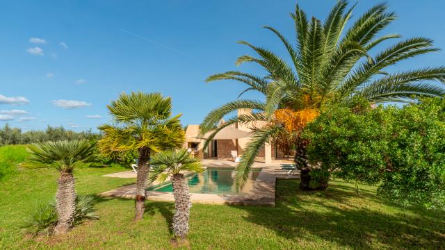 Finca Clovetes