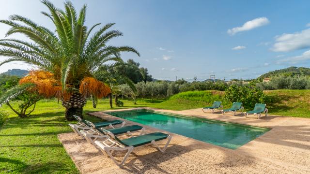 Finca Clovetes