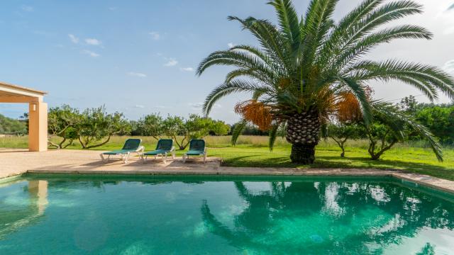 Finca Clovetes