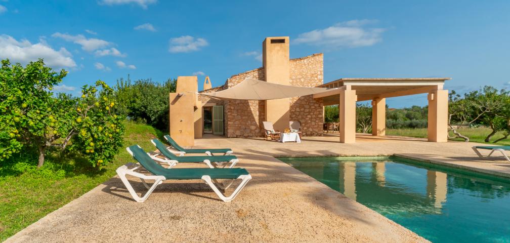 Finca Clovetes