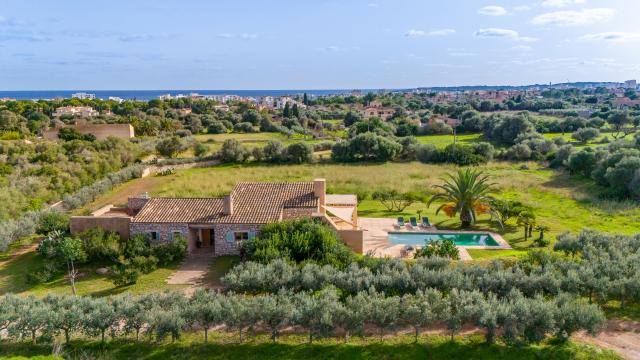 Finca Clovetes