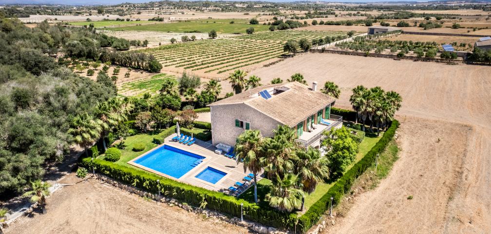 El Palmeral