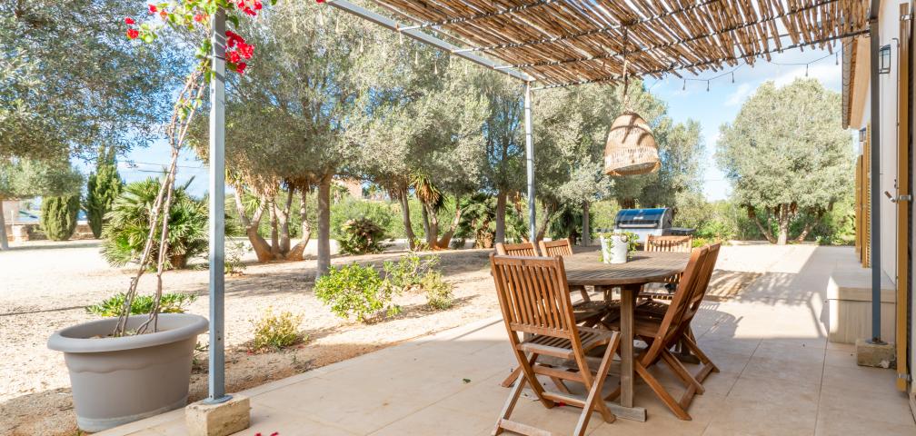 Finca Son Virgili