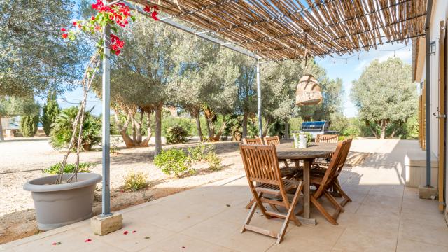 Finca Son Virgili