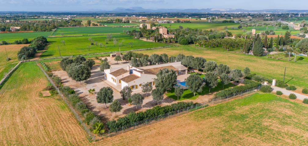 Finca Son Virgili