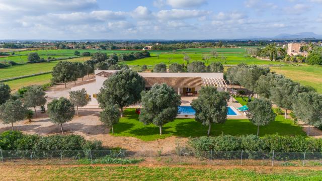 Finca Son Virgili