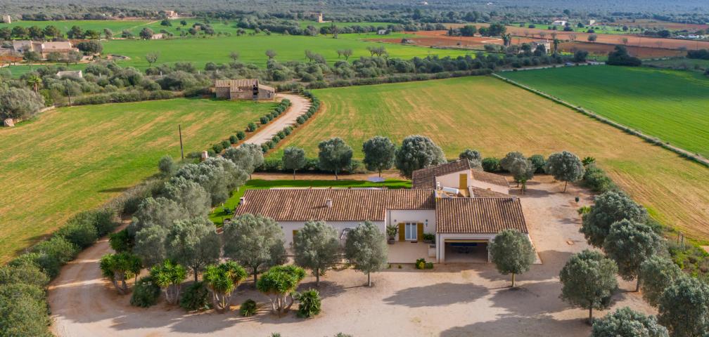 Finca Son Virgili