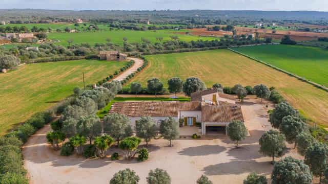 Finca Son Virgili