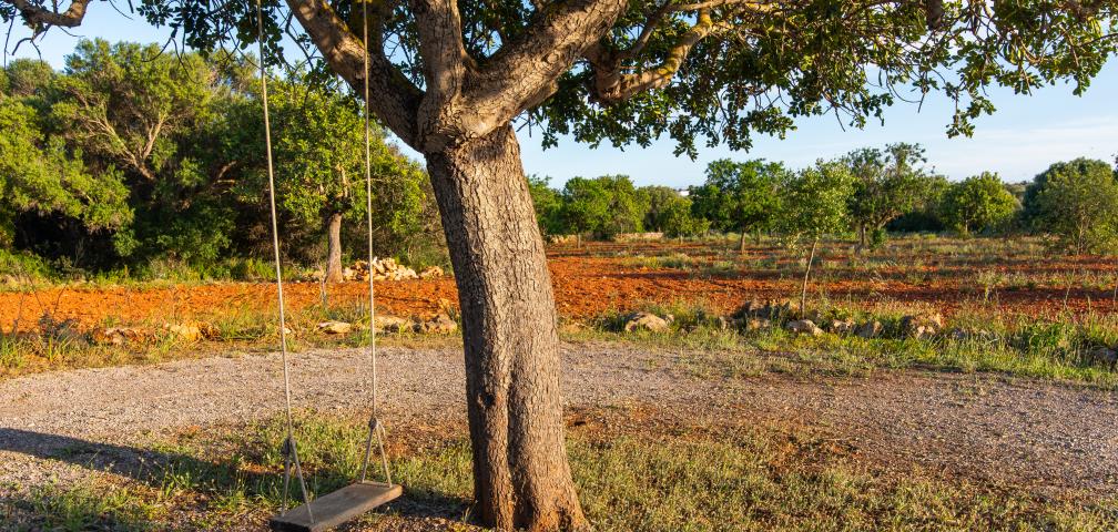 Finca Na Gatona