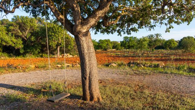 Finca Na Gatona
