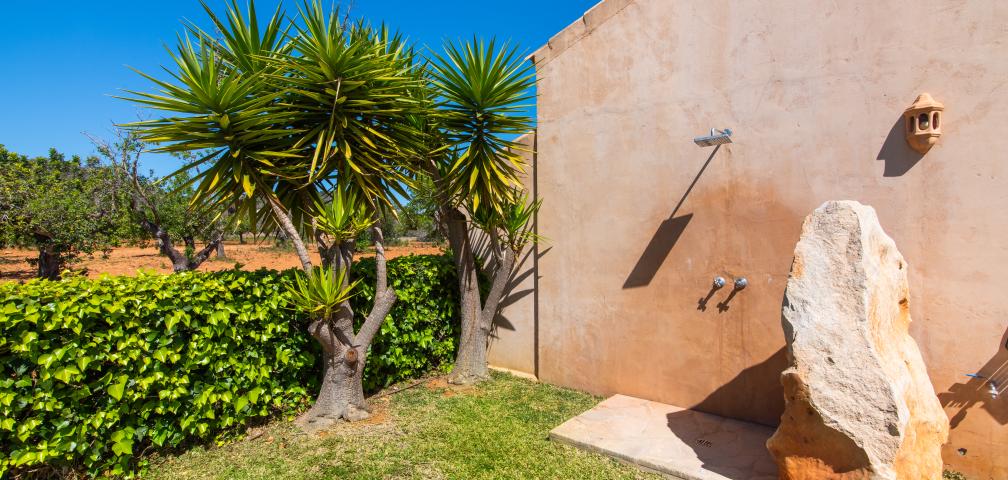 Finca Ses Oliveres