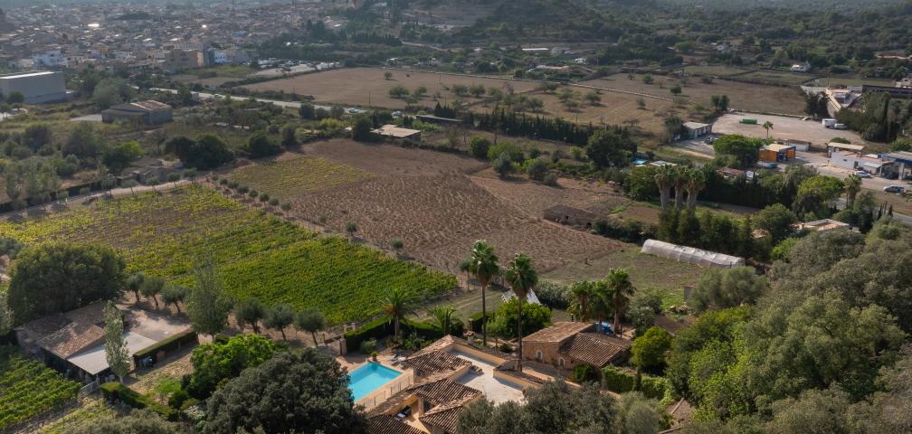 Finca Es Pujols