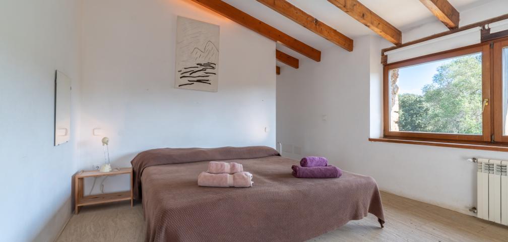 Finca Son Pastor