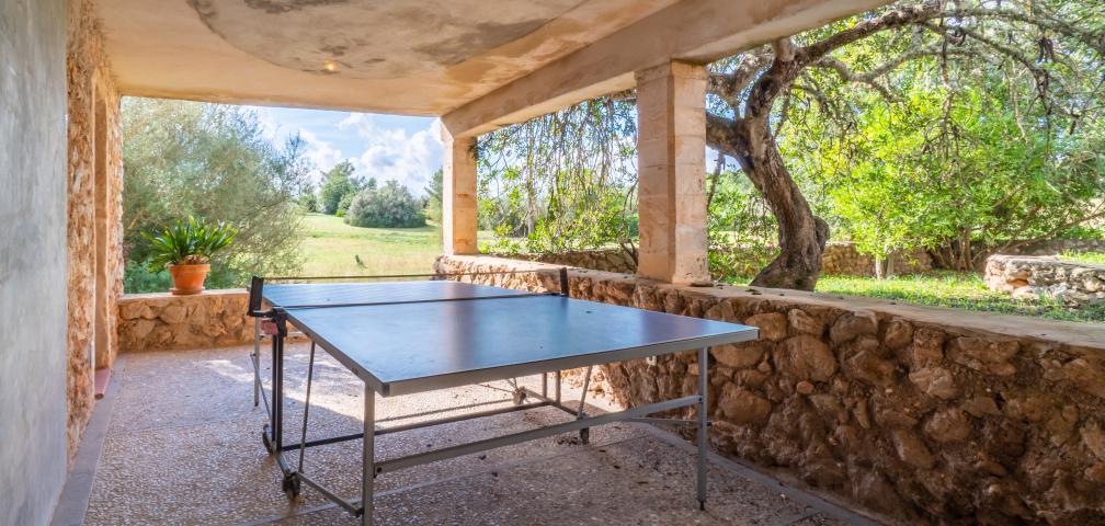 Finca Son Pastor