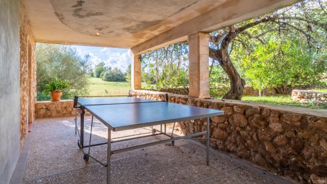Finca Son Pastor