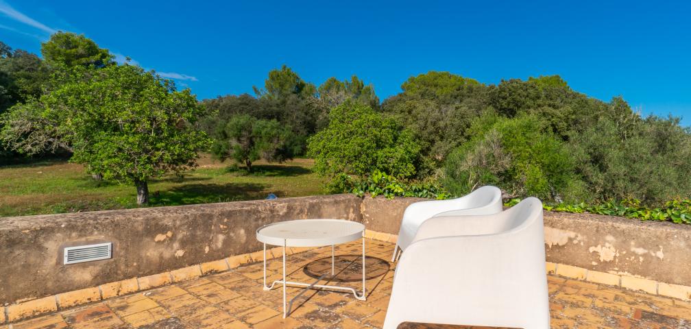 Finca Son Pastor