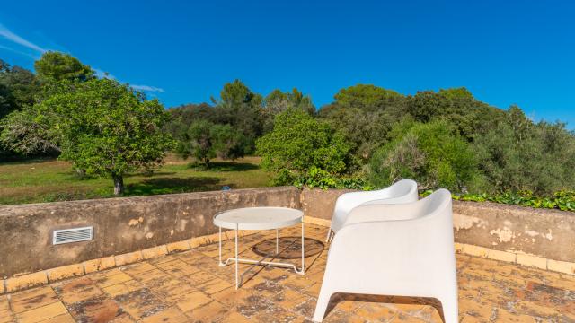 Finca Son Pastor