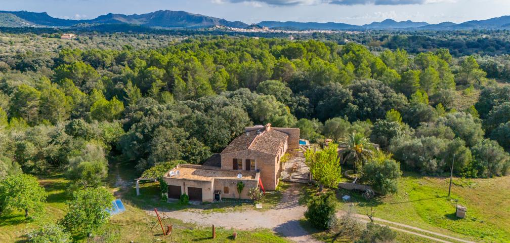 Finca Son Pastor