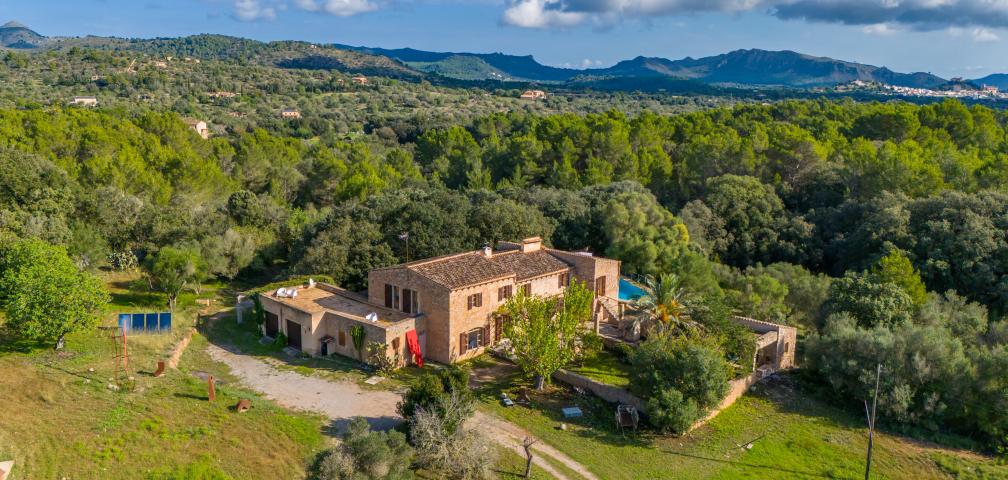 Finca Son Pastor