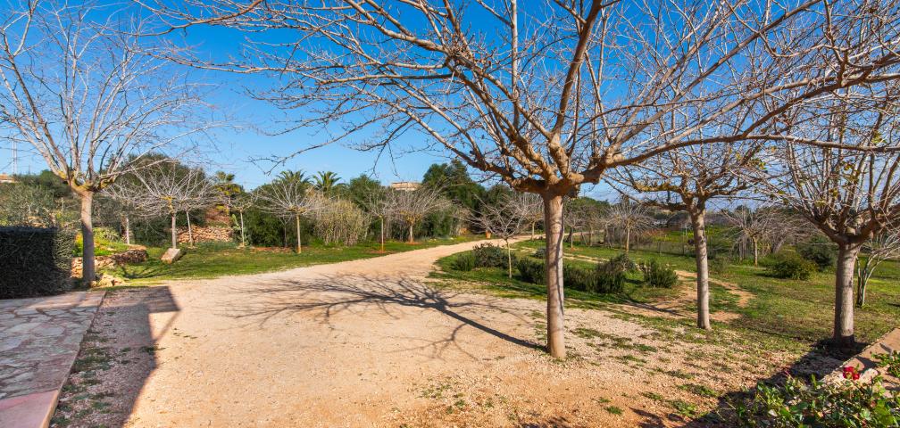 Finca Can Mayol