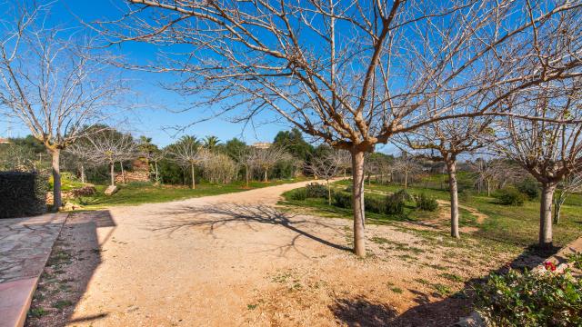 Finca Can Mayol