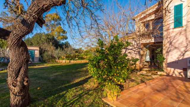 Finca Can Mayol