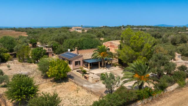 Finca Son Fangos