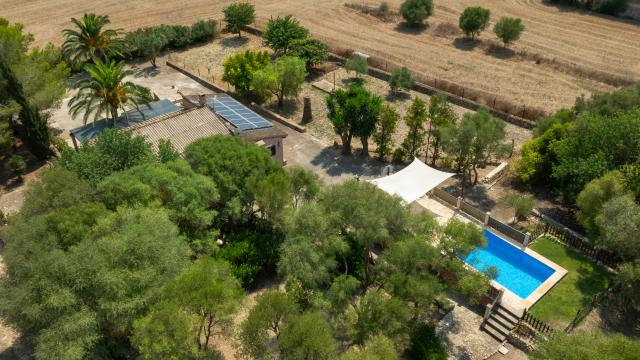 Finca Son Fangos