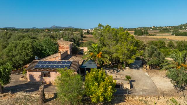 Finca Son Fangos