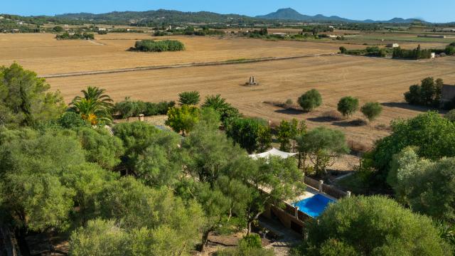 Finca Son Fangos