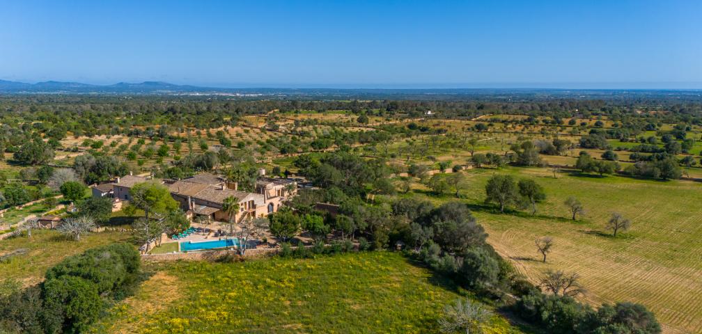 Finca Son Gabriela