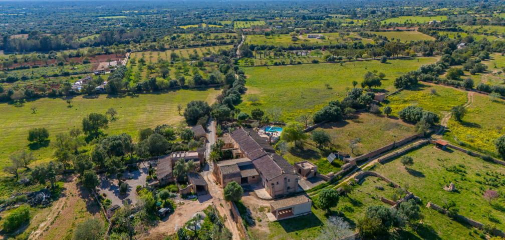 Finca Son Gabriela