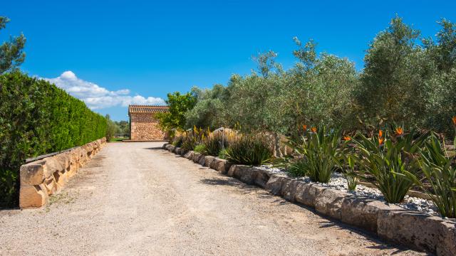 Finca Sa Finca