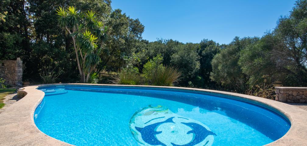 Finca Ses Paises