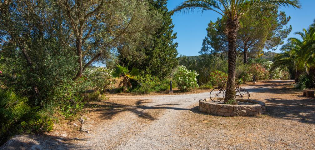 Finca Ses Paises