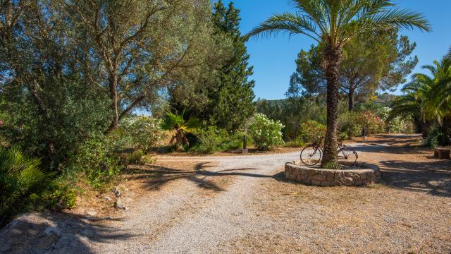 Finca Ses Paises
