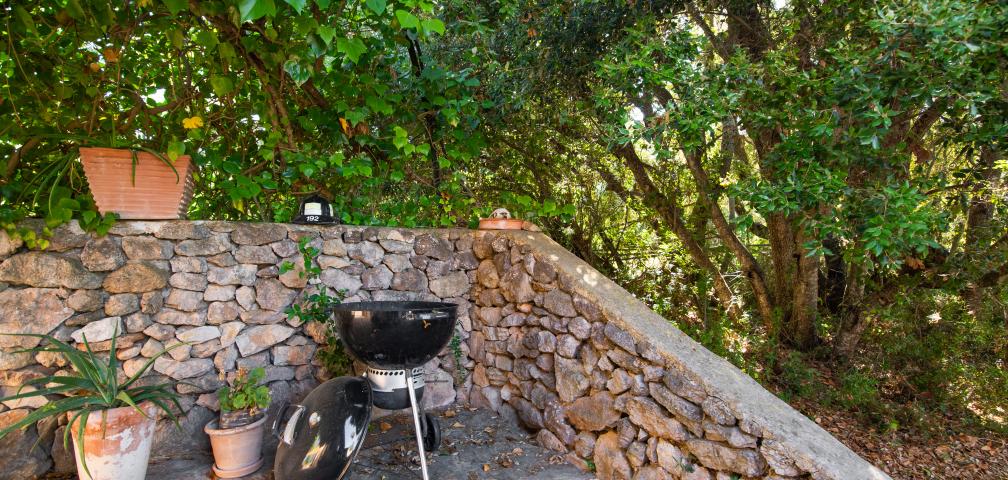 Finca Ses Paises