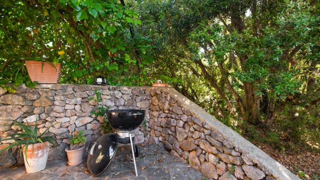 Finca Ses Paises