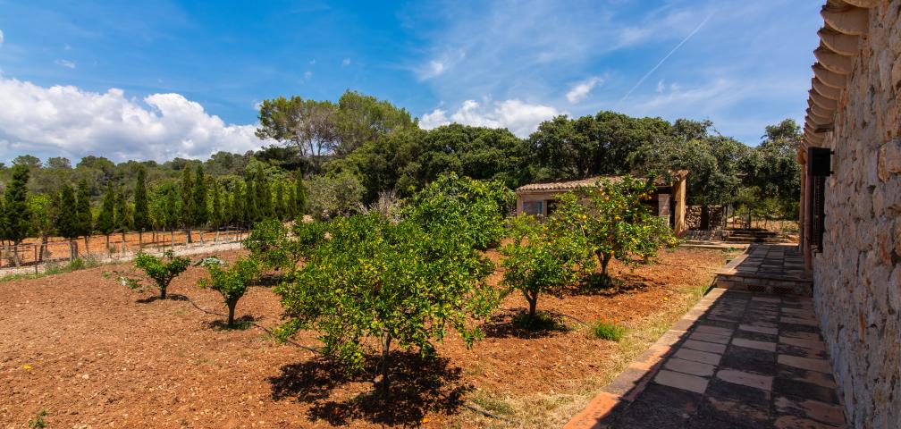Finca Els Nou Cortons