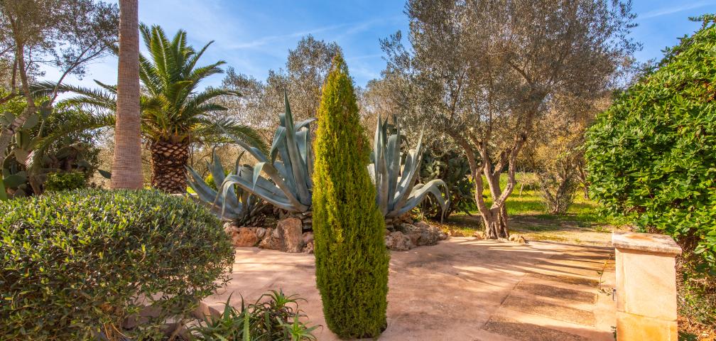 Apartamento rural Redonda 1