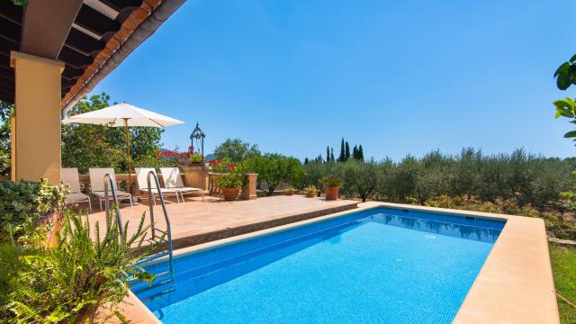 Finca Tolo