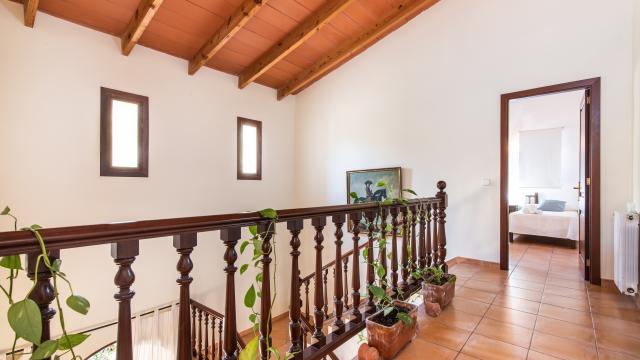 Finca Tolo