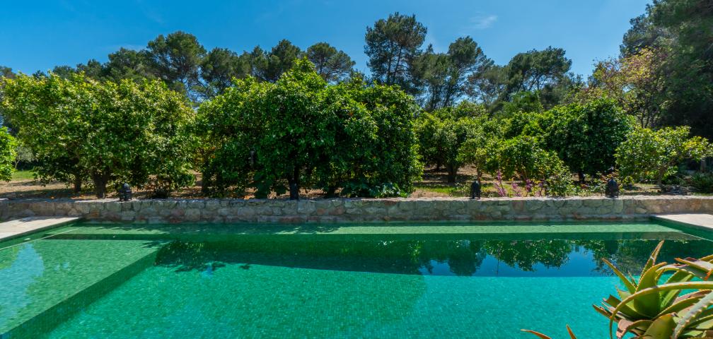 Finca Ses Nines