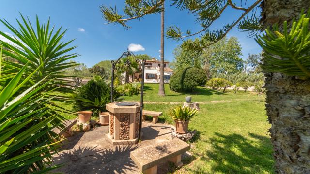 Finca Clot Fillol